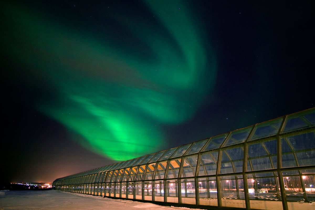 Northern Lights above Arktikum in Rovaniemi, Lapland — Pekka Koski, CC BY-SA 3.0