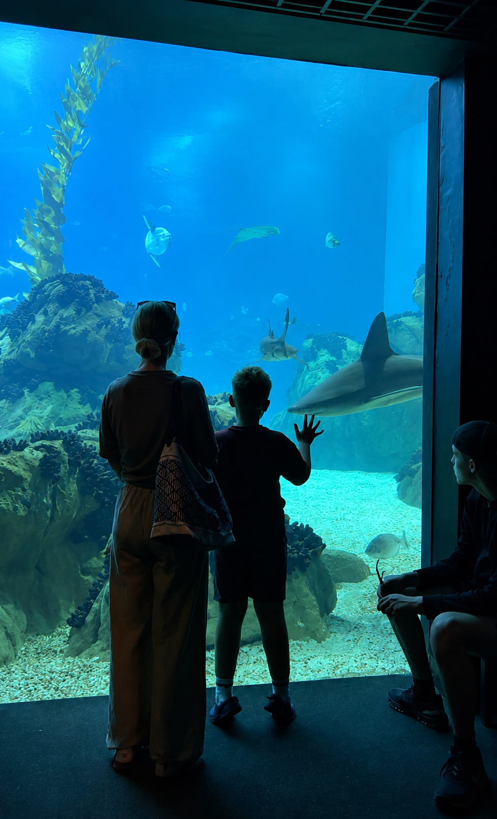 Days Out & Attractions