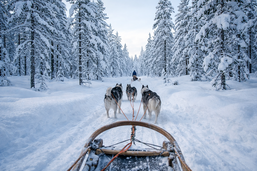 Lapland Disney and theme park family trips