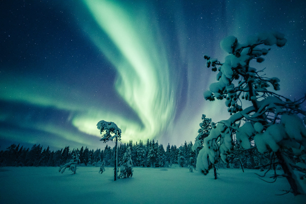 A Once-in-a-Lifetime Lapland Snow Adventure