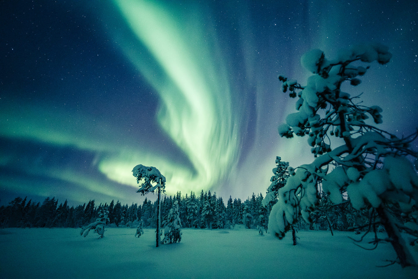 A Once-in-a-Lifetime Lapland Snow Adventure