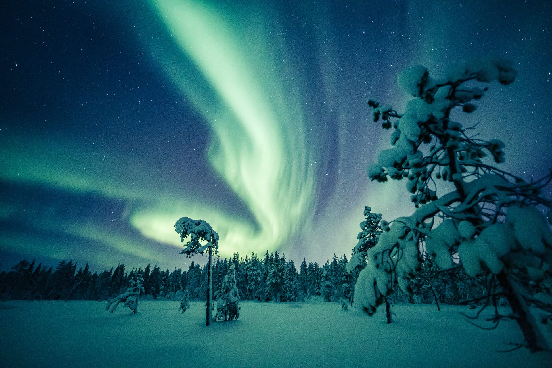 Unlock magical Lapland family deals